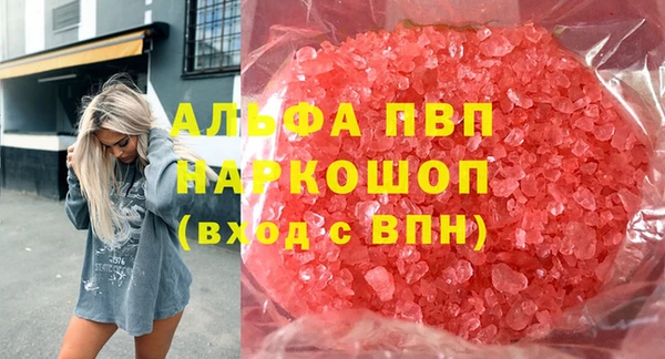 индика Дмитров
