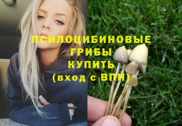 винт Дмитровск