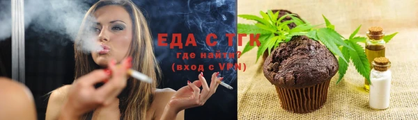 индика Дмитров