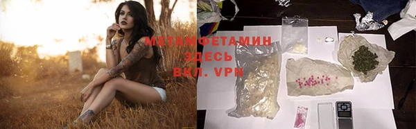 индика Дмитров