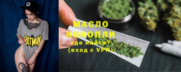 индика Дмитров