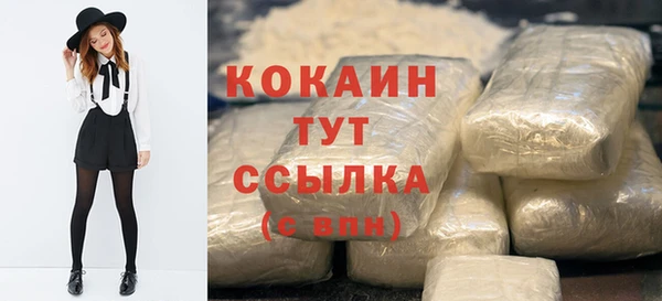 индика Дмитров