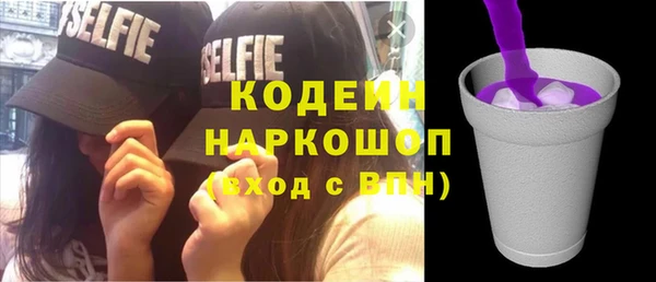 индика Дмитров