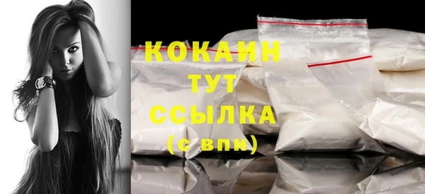 индика Дмитров
