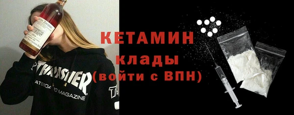 индика Дмитров