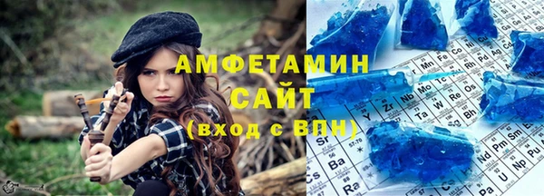 индика Дмитров