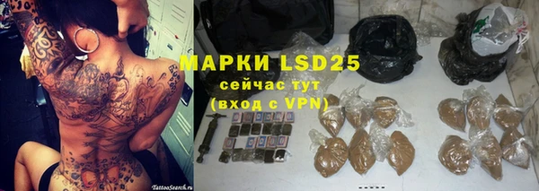 индика Дмитров