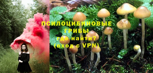 индика Дмитров