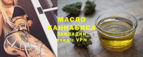 индика Дмитров